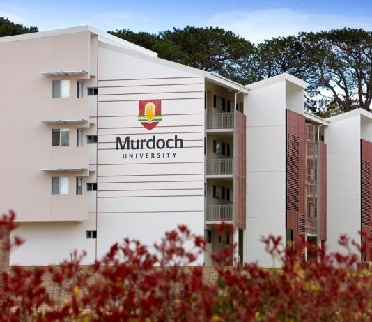 Lý giải nguyên do Đại học Murdoch dẫn đầu Úc cho lương khởi điểm sinh viên