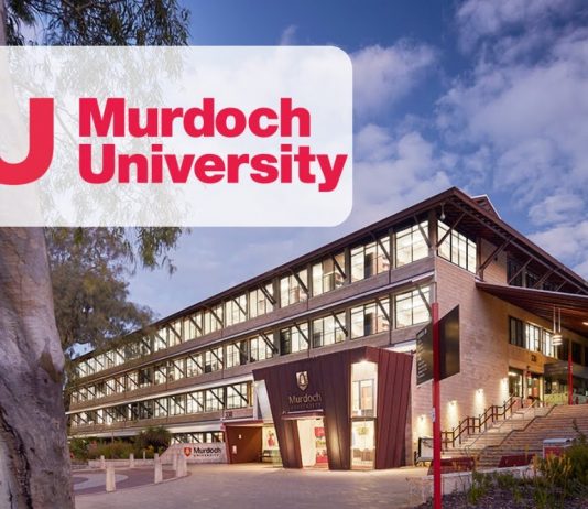 Đại học Murdoch tại Singapore: Chương trình ngành kép lớn nhất đảo quốc