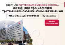 Lợi thế Orientation Year khi học Trường kinh doanh Rotterdam